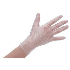 Cleanroom Vinyl Glove